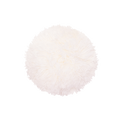 Pompon White