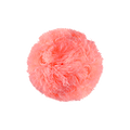Pompon Coral