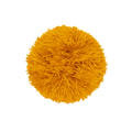 Pompon Mustard